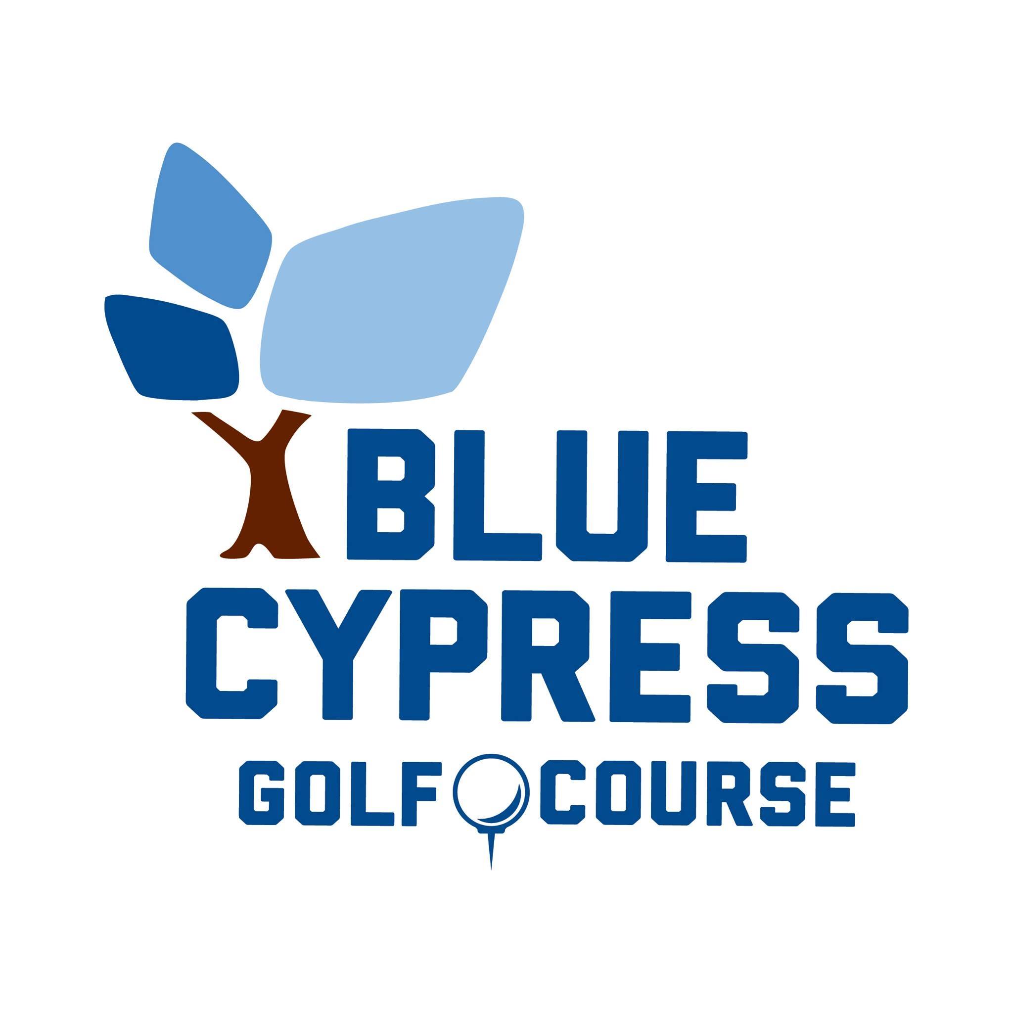 Blue Cypress